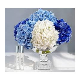 "Côte Noire" Bouquet "hortensia" bleu/blanc Moyen