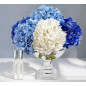"Côte Noire" Bouquet "hortensia" bleu/blanc Moyen "Côte Noire" Bouquet "hortensia" bleu/blanc Moyen