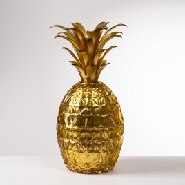 Ananas "Mélissa" or Marioluca Guisti